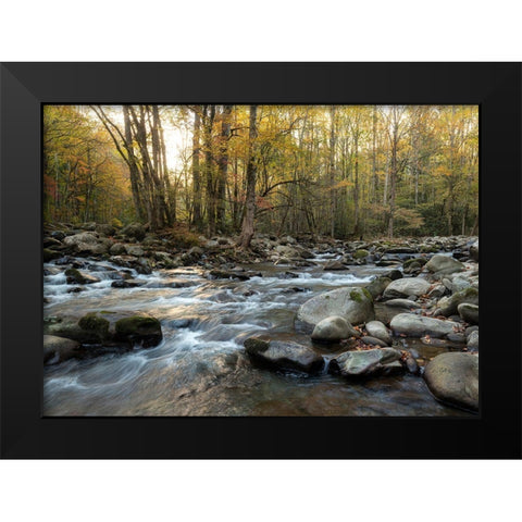 Reflecting Sunrise Black Modern Wood Framed Art Print by Head, Danny