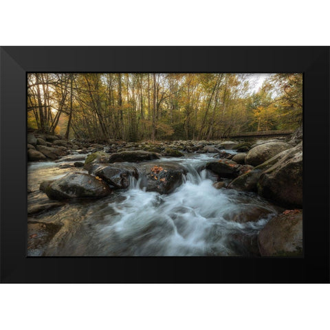 Amber Autumn II Black Modern Wood Framed Art Print by Head, Danny