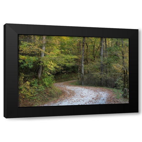 Up and Over I Black Modern Wood Framed Art Print by Head, Danny