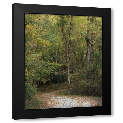 Up and Over II Black Modern Wood Framed Art Print by Head, Danny