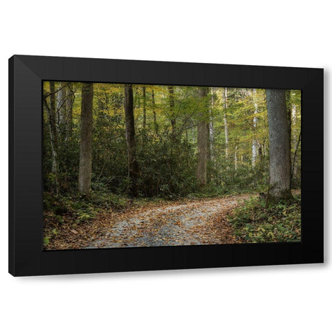 Turning Right Black Modern Wood Framed Art Print by Head, Danny