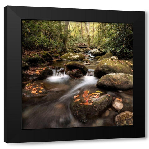 Laurel Lined Streams Black Modern Wood Framed Art Print by Head, Danny