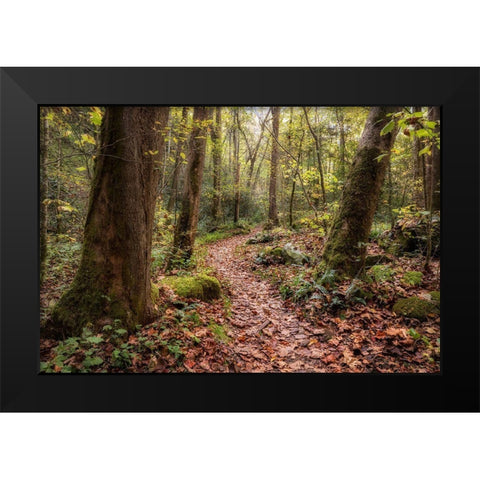 Mt Sterling Trail I Black Modern Wood Framed Art Print by Head, Danny
