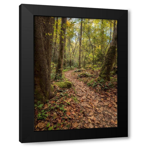 Mt Sterling Trail II Black Modern Wood Framed Art Print by Head, Danny