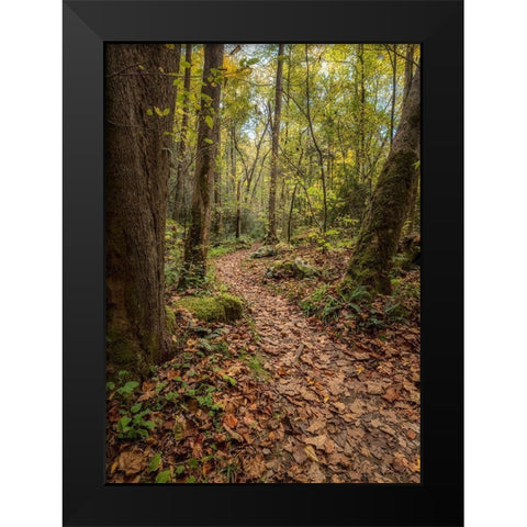 Mt Sterling Trail II Black Modern Wood Framed Art Print by Head, Danny