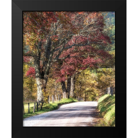 Cove Lane I Black Modern Wood Framed Art Print by Head, Danny