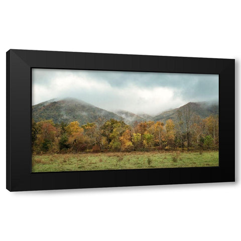 Misty Cove I Black Modern Wood Framed Art Print with Double Matting by Head, Danny