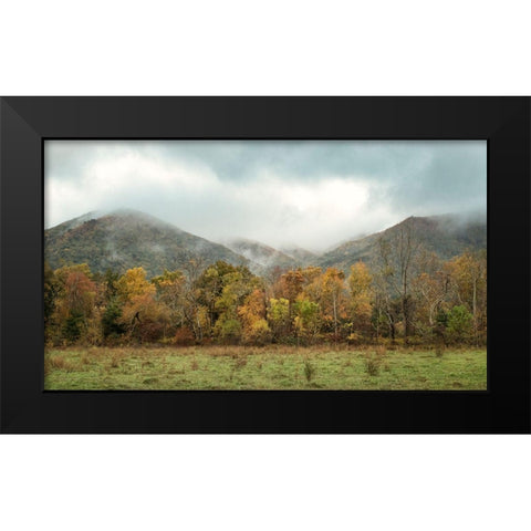 Misty Cove I Black Modern Wood Framed Art Print by Head, Danny