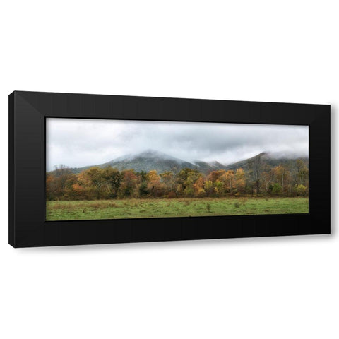 Cove Panorama Black Modern Wood Framed Art Print by Head, Danny