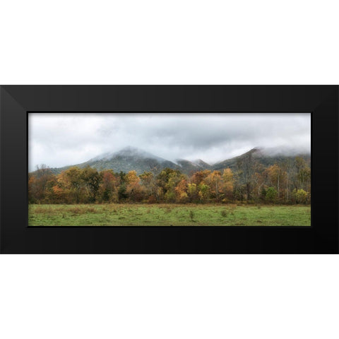 Cove Panorama Black Modern Wood Framed Art Print by Head, Danny