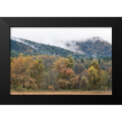 Misty Cove II Black Modern Wood Framed Art Print by Head, Danny