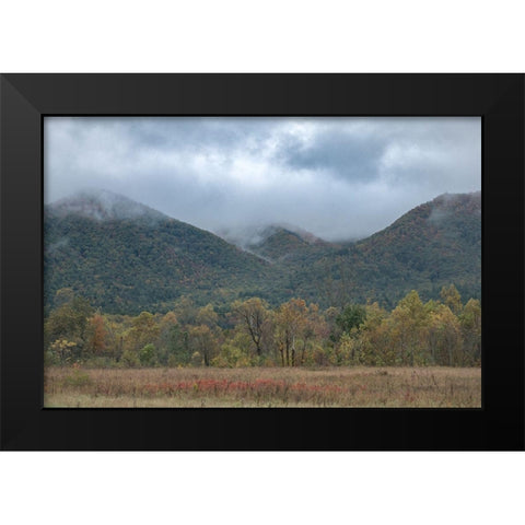 Misty Cove III Black Modern Wood Framed Art Print by Head, Danny