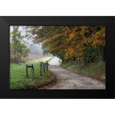 Cove Lane III Black Modern Wood Framed Art Print by Head, Danny
