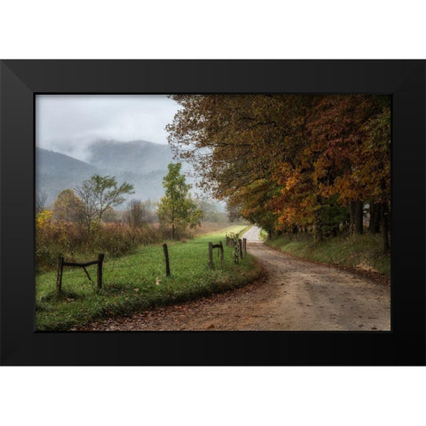 Cove Lane IV Black Modern Wood Framed Art Print by Head, Danny
