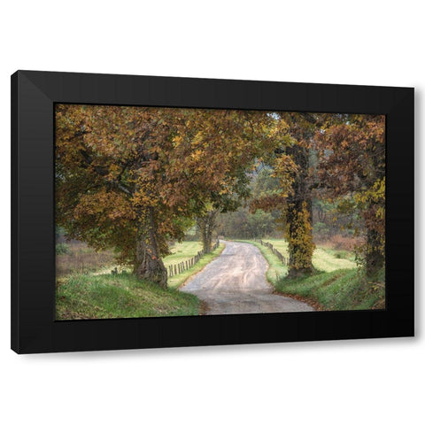 Between the Oaks Black Modern Wood Framed Art Print with Double Matting by Head, Danny