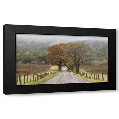 Looking Back Black Modern Wood Framed Art Print with Double Matting by Head, Danny