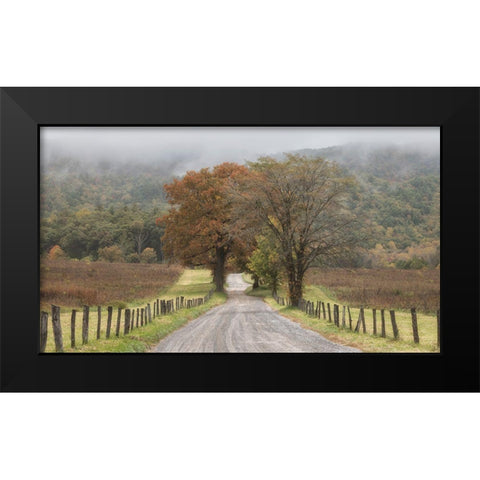 Looking Back Black Modern Wood Framed Art Print by Head, Danny