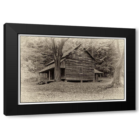 Early Cabin Black Modern Wood Framed Art Print with Double Matting by Head, Danny