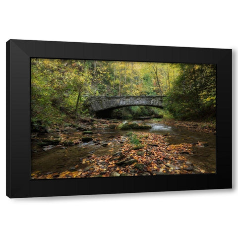 Arched Bridge Black Modern Wood Framed Art Print with Double Matting by Head, Danny