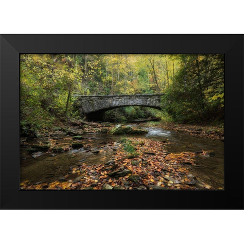 Arched Bridge Black Modern Wood Framed Art Print by Head, Danny