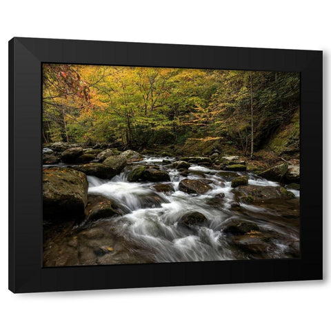 Autumn at Tremont II Black Modern Wood Framed Art Print by Head, Danny