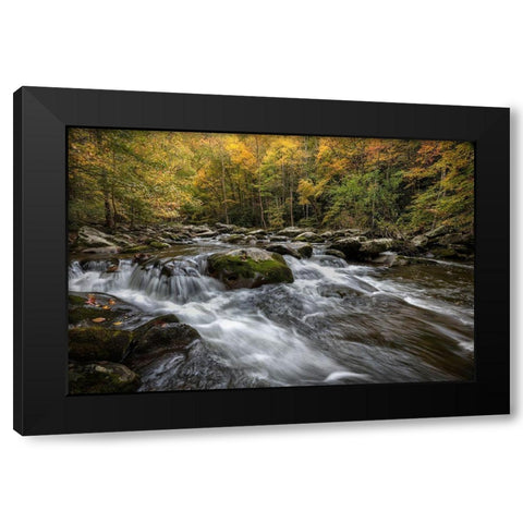 Autumn at Tremont III Black Modern Wood Framed Art Print with Double Matting by Head, Danny