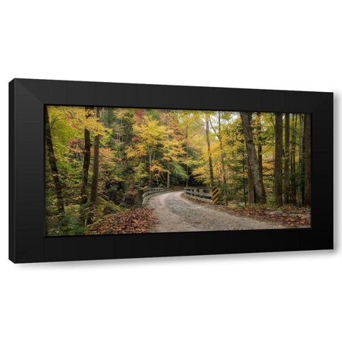 Golden Crossing Black Modern Wood Framed Art Print by Head, Danny