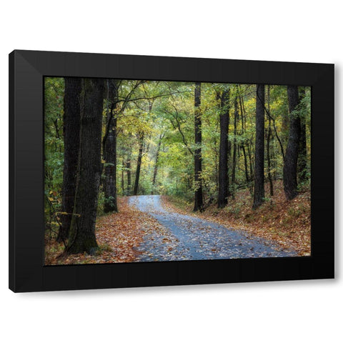 Country Drive Black Modern Wood Framed Art Print with Double Matting by Head, Danny