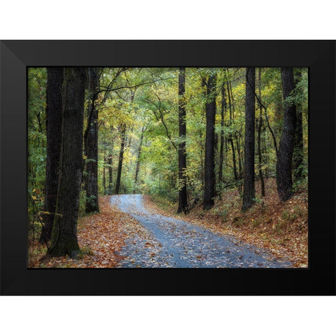 Country Drive Black Modern Wood Framed Art Print by Head, Danny