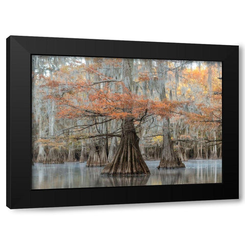 The Dancers Black Modern Wood Framed Art Print with Double Matting by Head, Danny