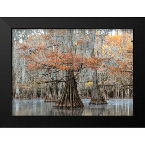 The Dancers Black Modern Wood Framed Art Print by Head, Danny