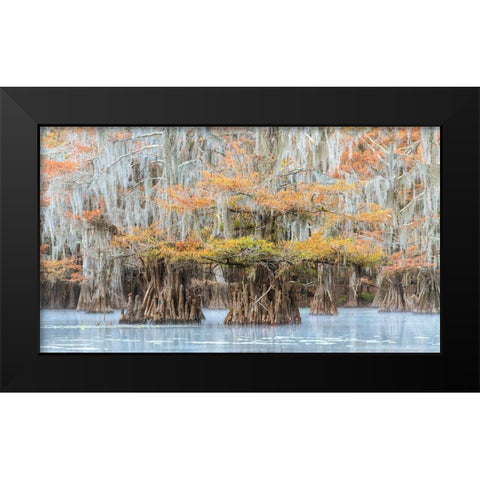 Bayou Colors Black Modern Wood Framed Art Print by Head, Danny