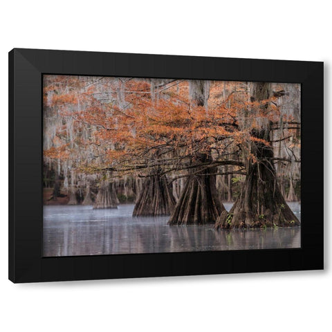 All Lined Up Black Modern Wood Framed Art Print with Double Matting by Head, Danny