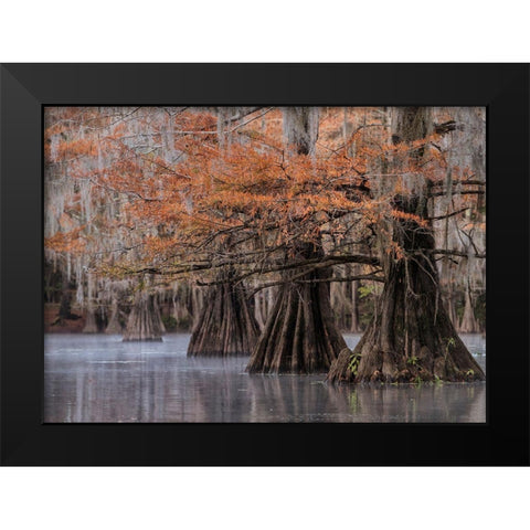 All Lined Up Black Modern Wood Framed Art Print by Head, Danny