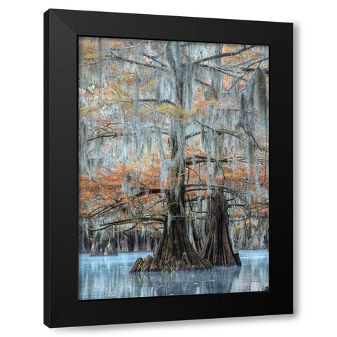 Hues of Blue Black Modern Wood Framed Art Print by Head, Danny