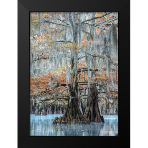 Hues of Blue Black Modern Wood Framed Art Print by Head, Danny