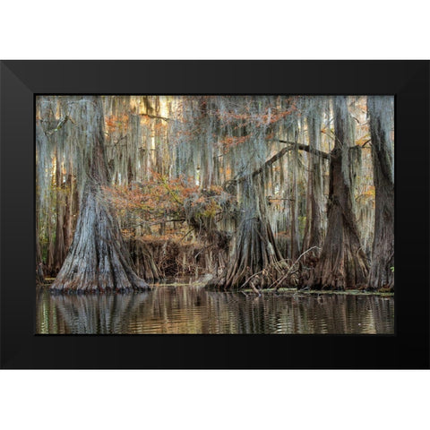 Cypress Silk Black Modern Wood Framed Art Print by Head, Danny