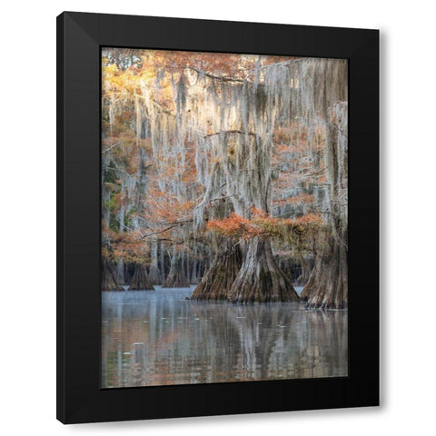 Bayou Blues Black Modern Wood Framed Art Print by Head, Danny
