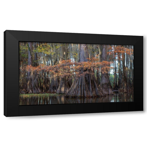 On the Bayou II Black Modern Wood Framed Art Print by Head, Danny