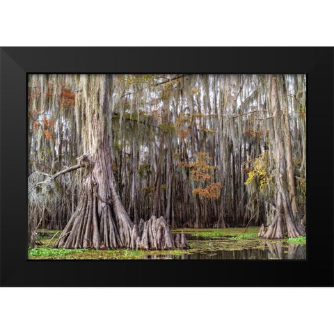 On the Bayou III Black Modern Wood Framed Art Print by Head, Danny
