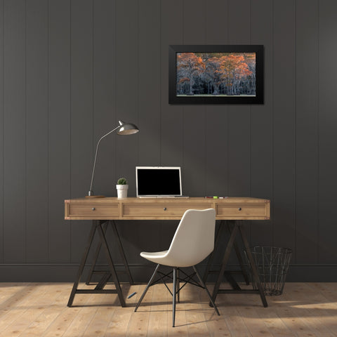 Sun Kissed Black Modern Wood Framed Art Print by Head, Danny