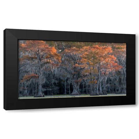 Sun Kissed Black Modern Wood Framed Art Print with Double Matting by Head, Danny