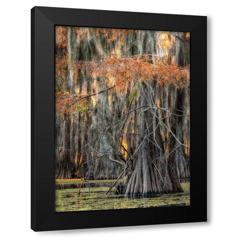 On the Bayou V Black Modern Wood Framed Art Print with Double Matting by Head, Danny