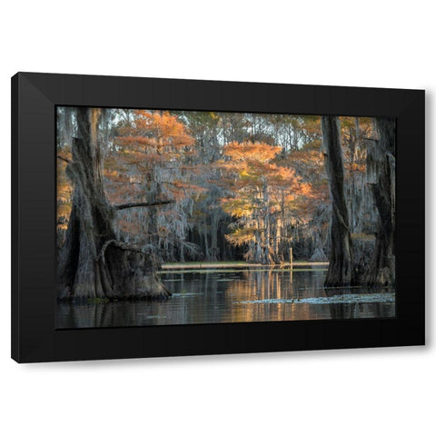 Soft Light Black Modern Wood Framed Art Print by Head, Danny