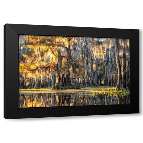 Bayou Dawning Black Modern Wood Framed Art Print with Double Matting by Head, Danny