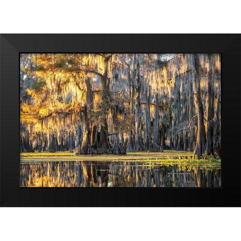 Bayou Dawning Black Modern Wood Framed Art Print by Head, Danny