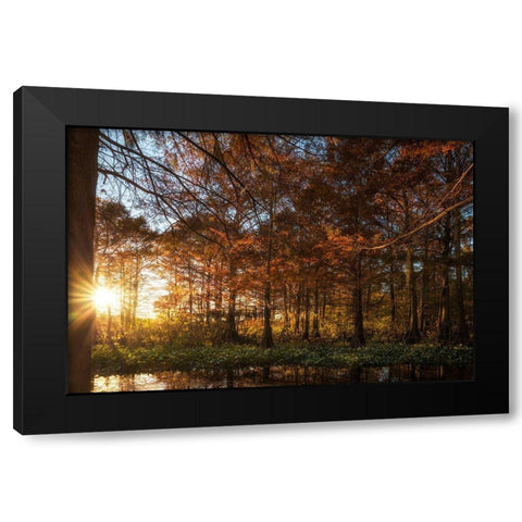 Last Light Black Modern Wood Framed Art Print by Head, Danny