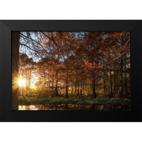 Last Light Black Modern Wood Framed Art Print by Head, Danny