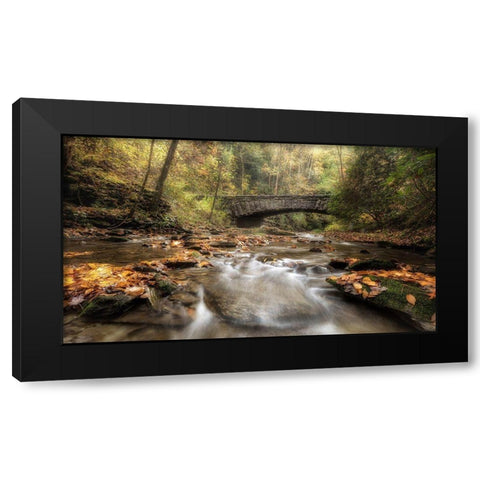 The Arch in Autumn Black Modern Wood Framed Art Print with Double Matting by Head, Danny