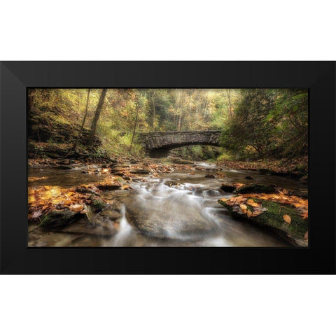 The Arch in Autumn Black Modern Wood Framed Art Print by Head, Danny